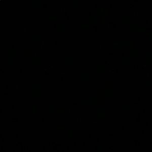 Meet your Posher, Stella